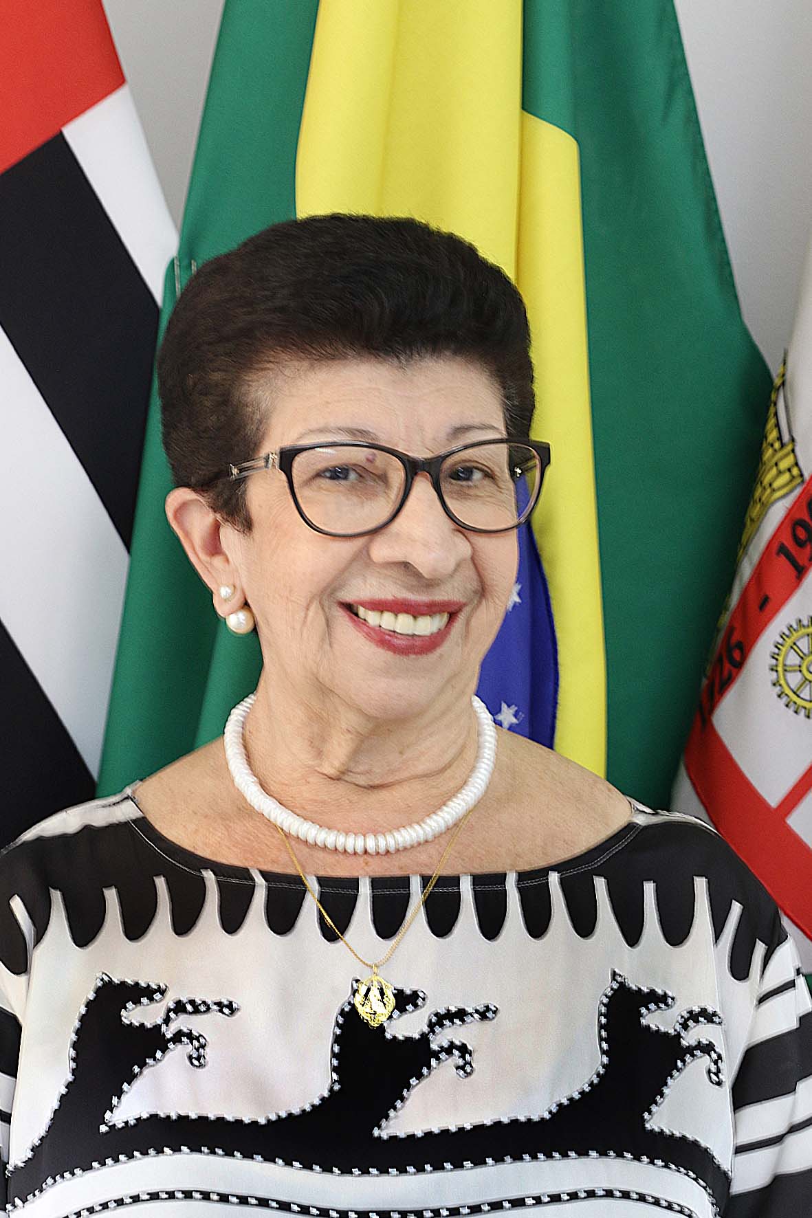 Sônia Regina Fernandes Afonso