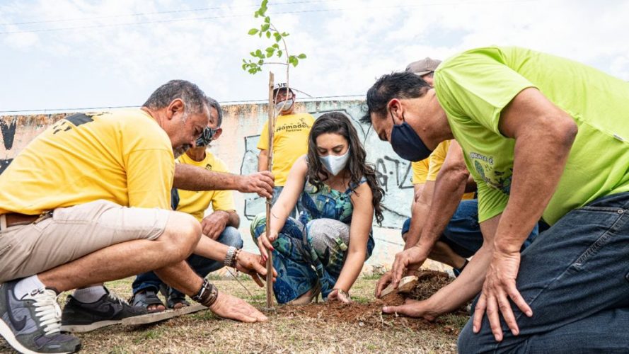 Prefeitura promove plantio de árvores em Ferraz