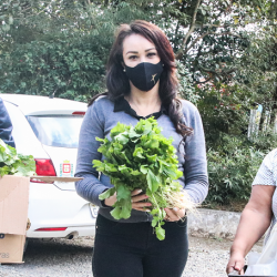 Fundo Social de Solidariedade de Ferraz distribui doações de folhosas e legumes às entidades locais