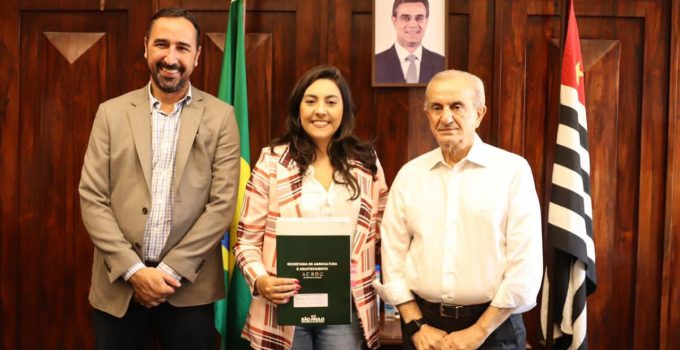 Laura Ramos. Secom Ferraz (2)