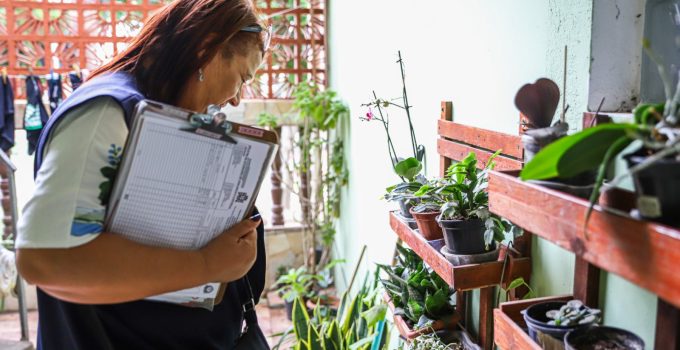 WhatsApp Image 2025-11-18 at 12.22.52