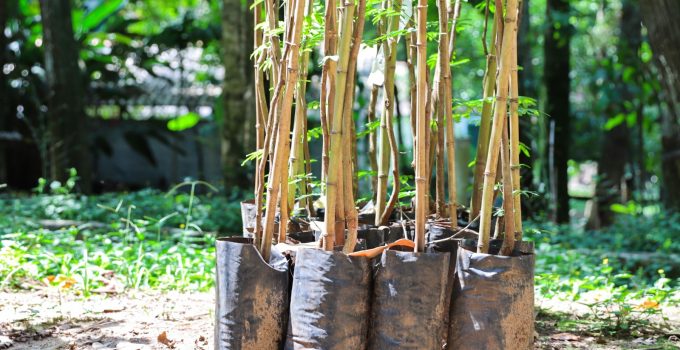 WhatsApp Image 2026-02-19 at 16.35.04