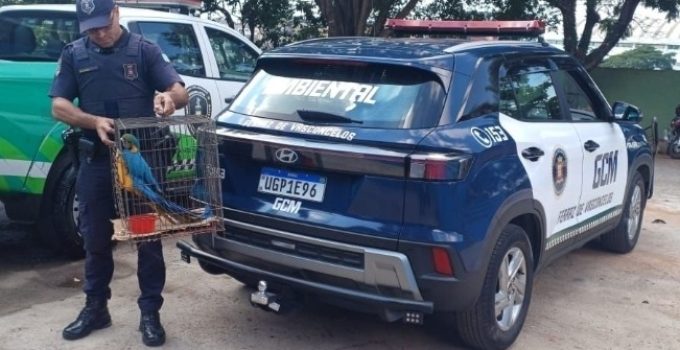 WhatsApp Image 2026-04-28 at 10.48.44